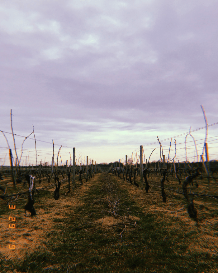 Screen Shot 2019-03-31 at 11.20.07 AM.png